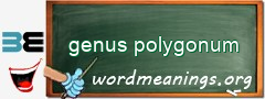 WordMeaning blackboard for genus polygonum